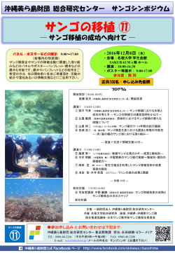 サンゴの移植‒⑪ - 沖縄の公立大学｜名桜大学