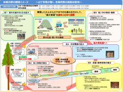 林業分野における展開イメージ[PDF：2MB]