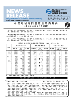 中国 地域専門 量販店販 売動向