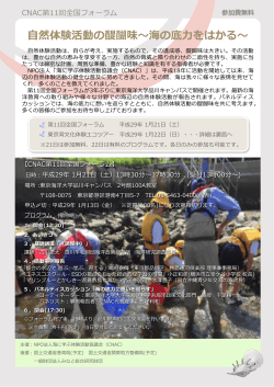 PDF:1.8MB - 海に学ぶ体験活動協議会