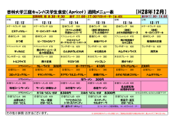 H28年12月