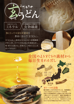 ミネラル 食物繊維