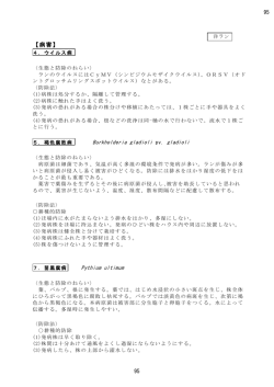 PDFファイル