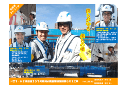 H27・H28国道357号寒川大橋耐震補強補修その1工事