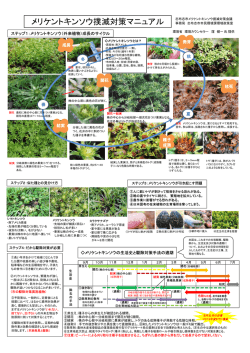 メリケントキンソウ撲滅対策マニュアル.