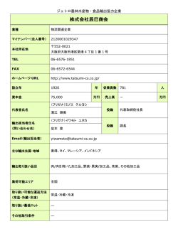 株式会社辰巳商会