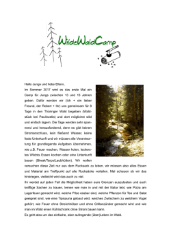 Jungscamp von Bernhard