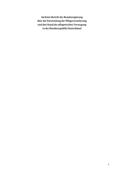 Sechster Pflegebericht der Bundesregierung (PDF, 2MB, nicht