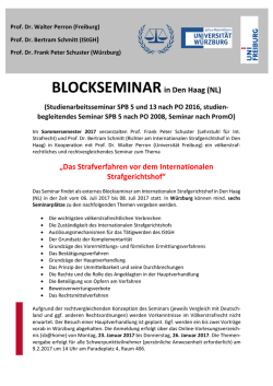 BLOCKSEMINARin Den Haag (NL) „Das Strafverfahren vor dem