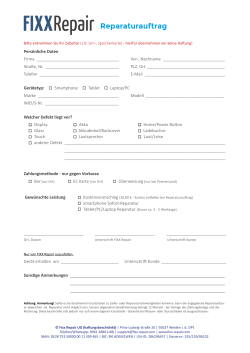 Reparaturauftrag