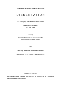 Dissertation M. Schneider