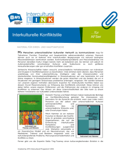 Interkulturelle Konfliktstile