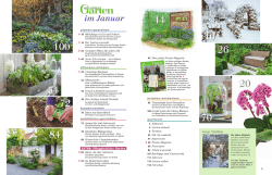 im Januar - Mein sch&ouml;ner Garten