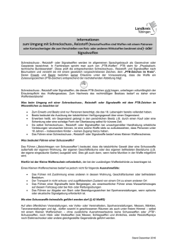 Infoblatt kleiner Waffenschein