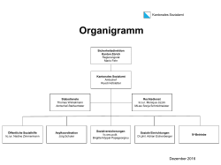 Organigramm - Sozialamt