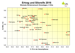 Silomais Punktdiagramme Grenzlagen mehrjährig 2016