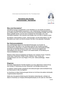 Harnsteine des Hundes
