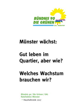Haushaltsrede 2017