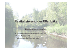 Revitalisierung der Ellenbäcke - LFV Weser-Ems