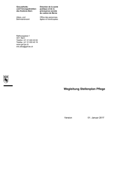 Wegleitung Stellenplan Pflege - Gesundheits