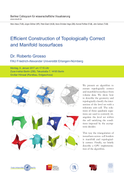 Efficient Construction of Topologically Correct and Manifold