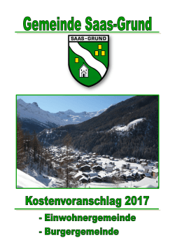 Kostenvoranschlag 2017 - Gemeinde Saas