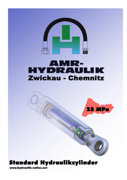 AMR Hydraulikzylinder