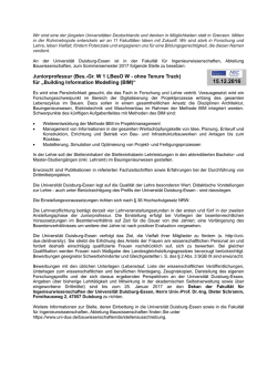 Juniorprofessur (Bes.-Gr. W 1 LBesO W