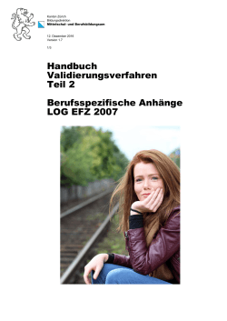 Handbuch Validierungsverfahren Teil 2 Berufsspezifische Anhänge