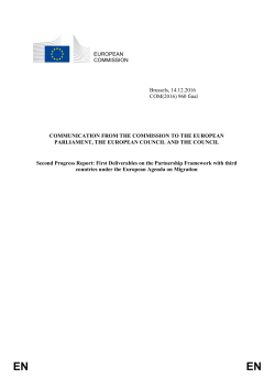 Second Progress Report - European External Action Service