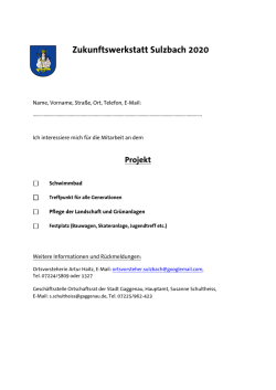 Zukunftswerkstatt Sulzbach 2020
