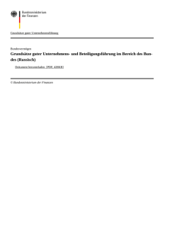Grunds&auml;tze guter Unternehmens- und Beteiligungsf&uuml;hrung im