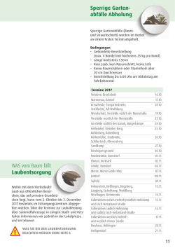 Sperrige Garten- abfälle Abholung WAS vom Baum fällt