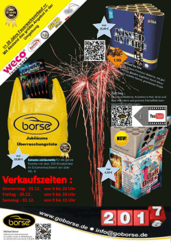 Feuerwerks-Flyer 2016