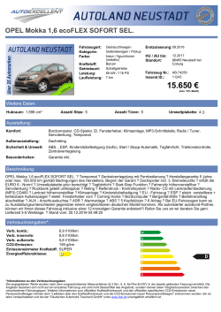 16.990 - Autoland Neustadt
