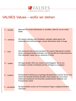 VALNES Values – wofür wir stehen