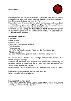 Infos downloaden - Rote Falken Zürich