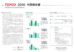 TEPCO 2016 中間報告書