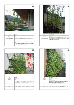 植栽した植物 植栽した植物 設置方法 設置方法 植栽した植物 植栽した