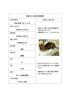 保護された猫の詳細情報