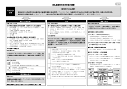 旧弘道館保存活用計画の概要 （PDF：908KB）