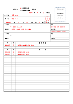 記載例( PDF書類 )