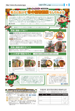 冬の植物観察
