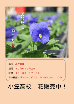 小笠高校 花販売中！