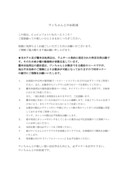 ワンちゃんとのお約束