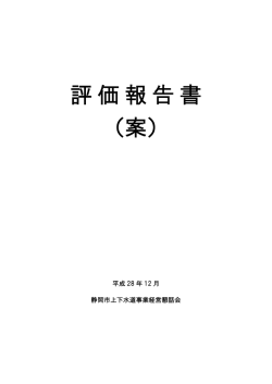 評価報告書 （案）