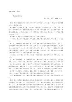 日本の税のあり方について(PDF文書)