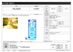資料PDF - luz