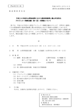 プレスリリース（戦略会議） (PDF documentファイル サイズ： 187Kb)