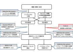 スキーム図:拡大